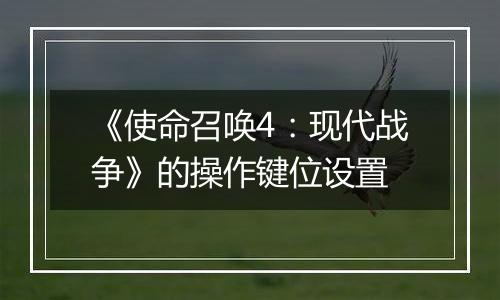 《使命召唤4：现代战争》的操作键位设置