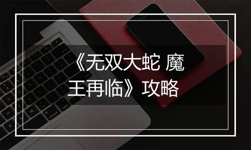 《无双大蛇 魔王再临》攻略