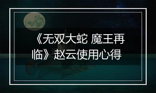 《无双大蛇 魔王再临》赵云使用心得