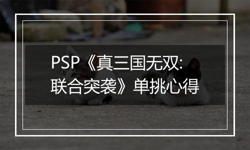 PSP《真三国无双:联合突袭》单挑心得