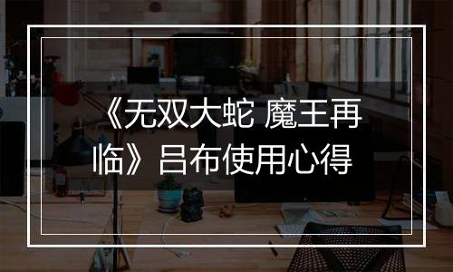 《无双大蛇 魔王再临》吕布使用心得