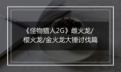 《怪物猎人2G》雌火龙/樱火龙/金火龙大锤讨伐篇