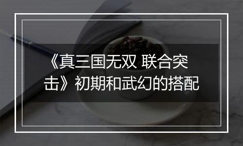 《真三国无双 联合突击》初期和武幻的搭配