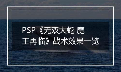 PSP《无双大蛇 魔王再临》战术效果一览