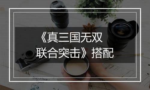 《真三国无双 联合突击》搭配