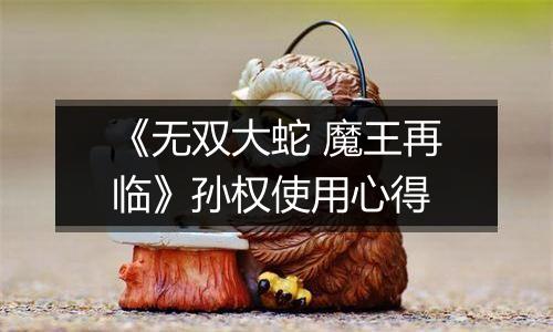 《无双大蛇 魔王再临》孙权使用心得