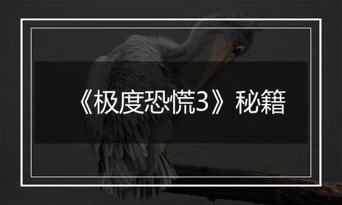 《极度恐慌3》秘籍