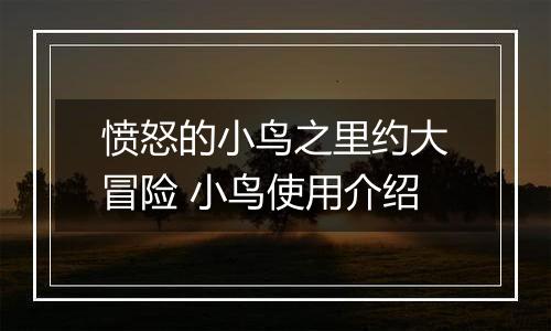 愤怒的小鸟之里约大冒险 小鸟使用介绍