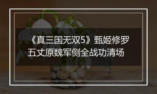 《真三国无双5》甄姬修罗五丈原魏军侧全战功清场