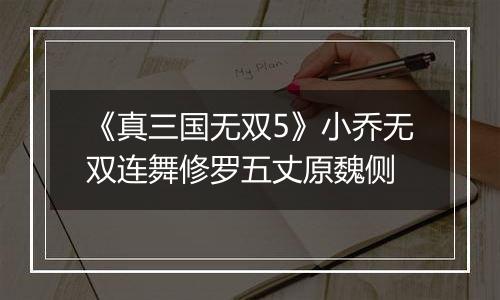 《真三国无双5》小乔无双连舞修罗五丈原魏侧