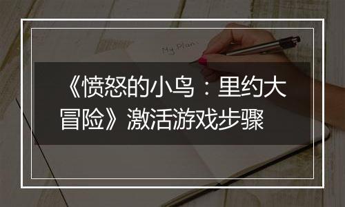 《愤怒的小鸟：里约大冒险》激活游戏步骤