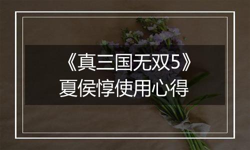 《真三国无双5》夏侯惇使用心得