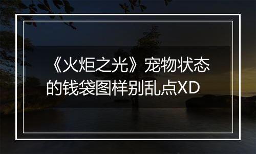 《火炬之光》宠物状态的钱袋图样别乱点XD