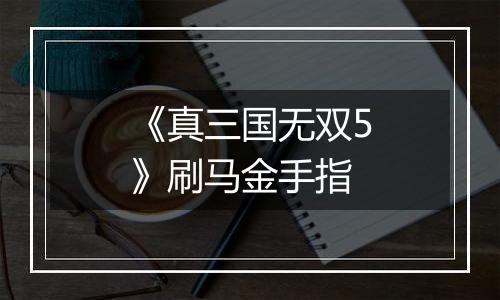 《真三国无双5》刷马金手指