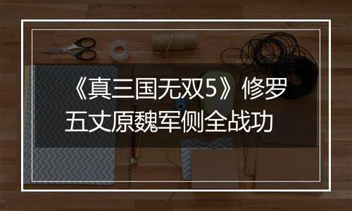 《真三国无双5》修罗五丈原魏军侧全战功