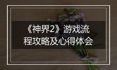 《神界2》游戏流程攻略及心得体会