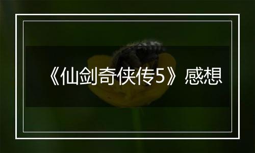 《仙剑奇侠传5》感想