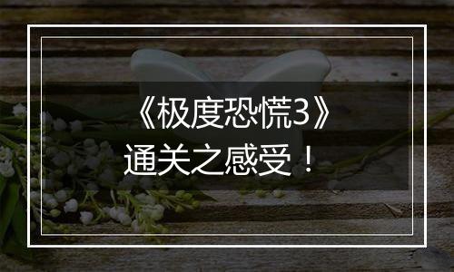 《极度恐慌3》通关之感受！