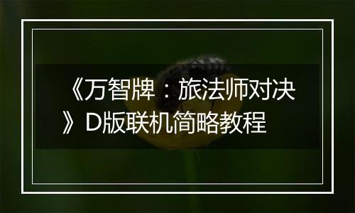 《万智牌：旅法师对决》D版联机简略教程
