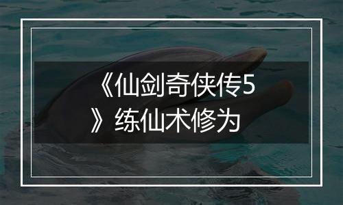 《仙剑奇侠传5》练仙术修为