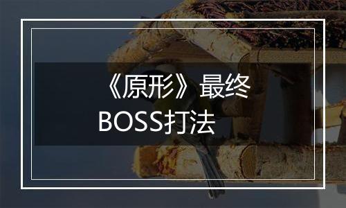 《原形》最终BOSS打法