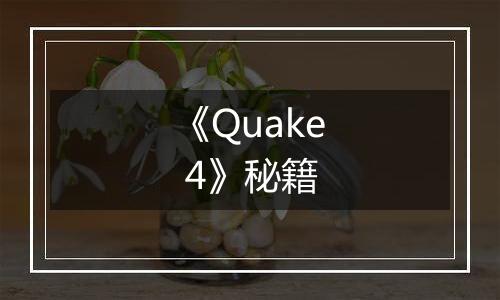 《Quake 4》秘籍