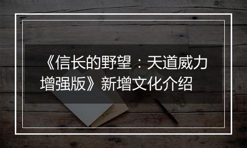 《信长的野望：天道威力增强版》新增文化介绍