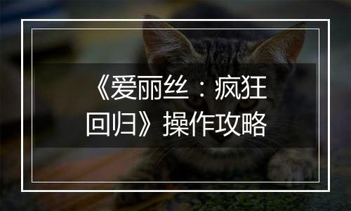 《爱丽丝：疯狂回归》操作攻略