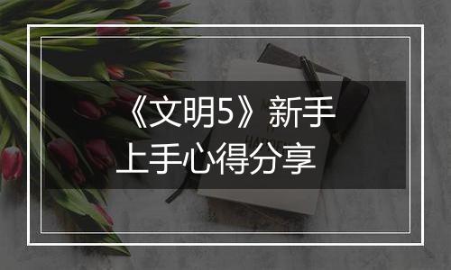《文明5》新手上手心得分享