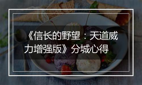 《信长的野望：天道威力增强版》分城心得