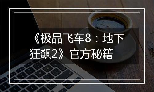 《极品飞车8：地下狂飙2》官方秘籍