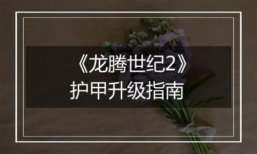 《龙腾世纪2》护甲升级指南