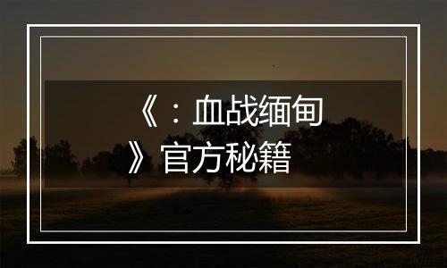 《：血战缅甸》官方秘籍