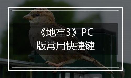 《地牢3》PC版常用快捷键