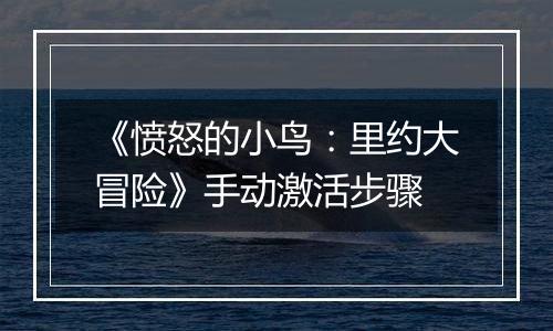 《愤怒的小鸟：里约大冒险》手动激活步骤