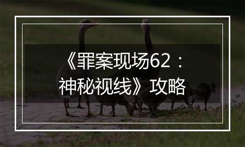《罪案现场62：神秘视线》攻略