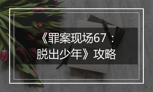 《罪案现场67：脱出少年》攻略
