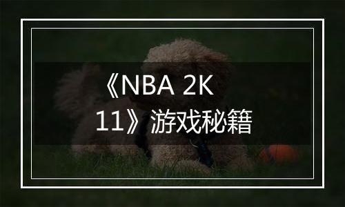 《NBA 2K11》游戏秘籍