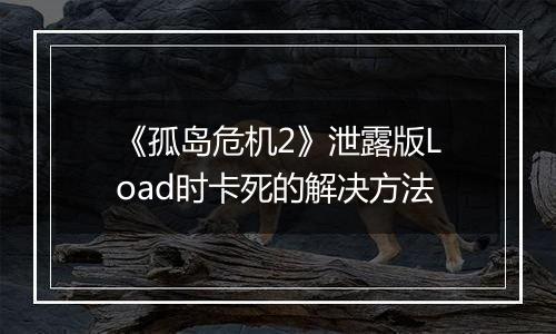 《孤岛危机2》泄露版Load时卡死的解决方法