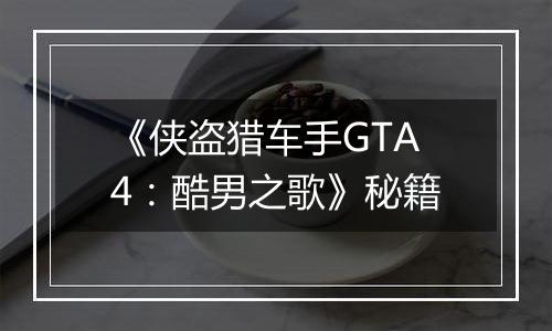 《侠盗猎车手GTA4：酷男之歌》秘籍