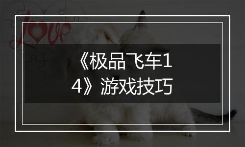 《极品飞车14》游戏技巧