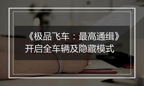 《极品飞车：最高通缉》开启全车辆及隐藏模式