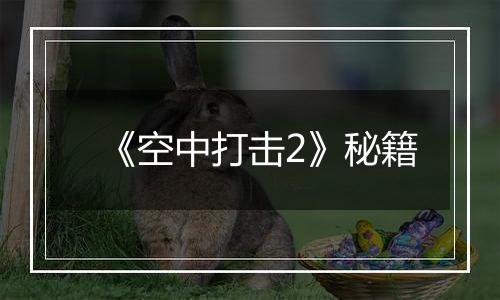 《空中打击2》秘籍