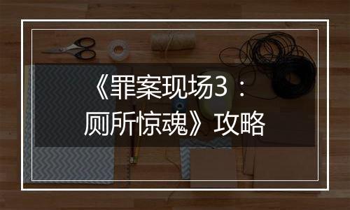 《罪案现场3：厕所惊魂》攻略