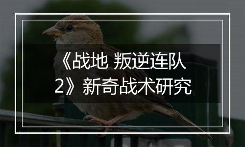 《战地 叛逆连队2》新奇战术研究