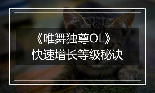 《唯舞独尊OL》快速增长等级秘诀