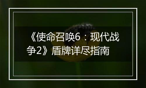 《使命召唤6：现代战争2》盾牌详尽指南