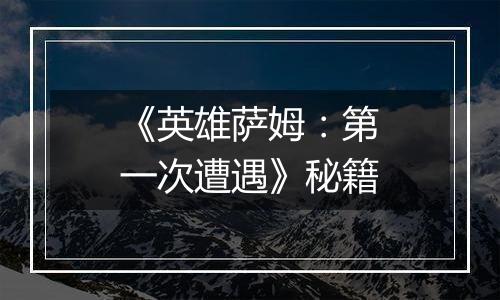 《英雄萨姆：第一次遭遇》秘籍