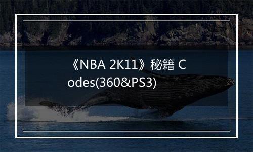 《NBA 2K11》秘籍 Codes(360&PS3)