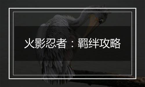 火影忍者：羁绊攻略